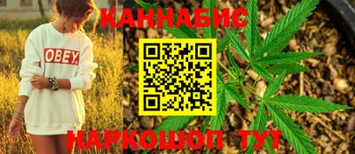 гидра Камышлов